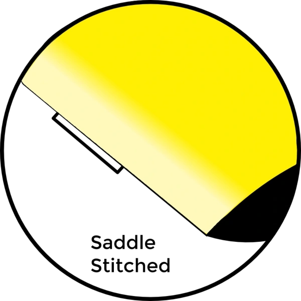  Saddle Sticthed Picto Jpg